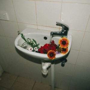 Commercial Plumbing