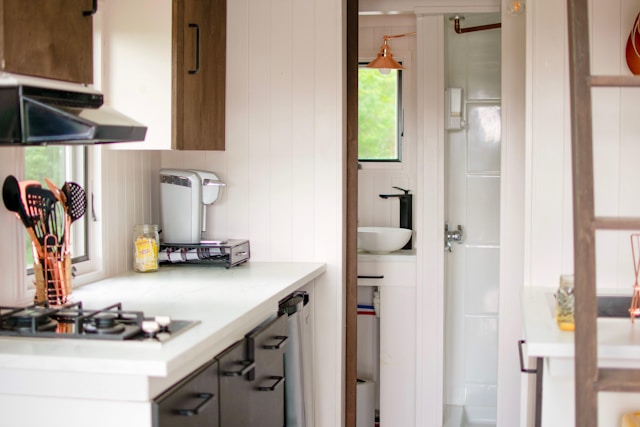 Kitchen Plumbing